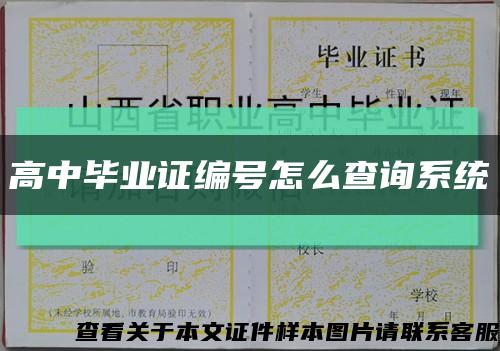 高中毕业证编号怎么查询系统缩略图