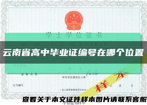 云南省高中毕业证编号在哪个位置缩略图