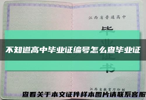 不知道高中毕业证编号怎么查毕业证缩略图