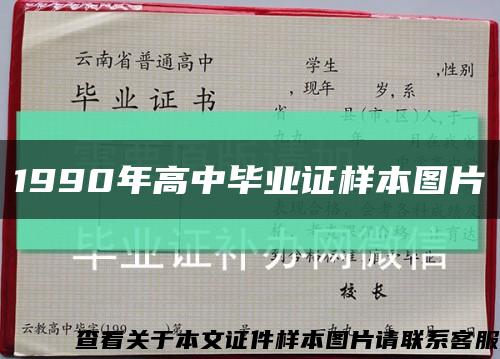 1990年高中毕业证样本图片缩略图