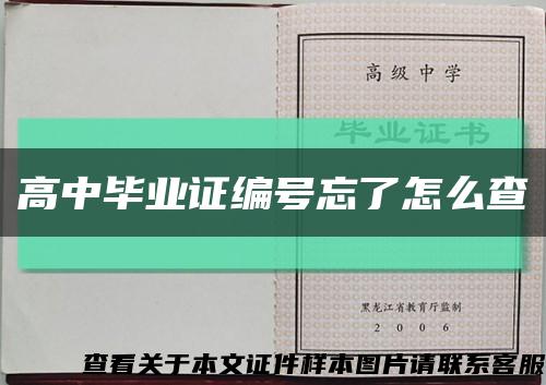 高中毕业证编号忘了怎么查缩略图