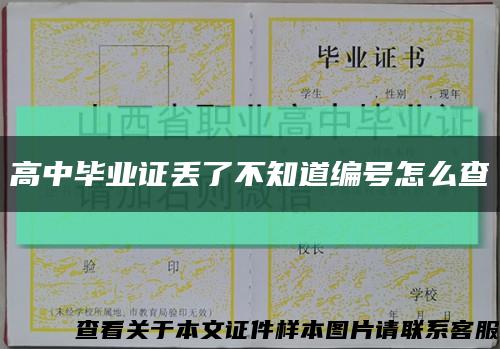 高中毕业证丢了不知道编号怎么查缩略图