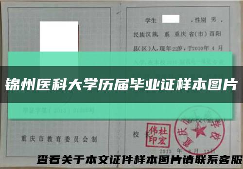 锦州医科大学历届毕业证样本图片缩略图