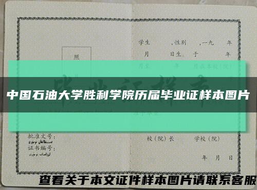 中国石油大学胜利学院历届毕业证样本图片缩略图