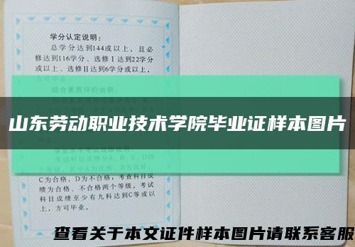 山东劳动职业技术学院毕业证样本图片缩略图