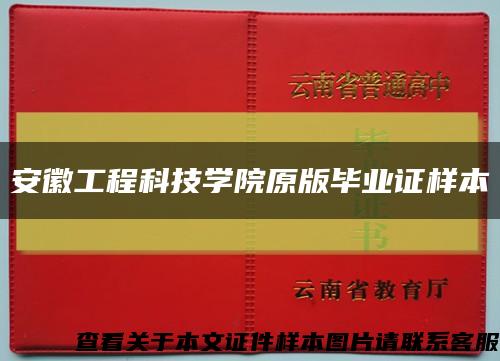 安徽工程科技学院原版毕业证样本缩略图