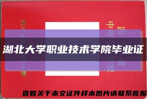 湖北大学职业技术学院毕业证缩略图