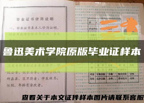 鲁迅美术学院原版毕业证样本缩略图