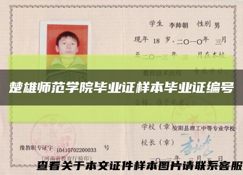 楚雄师范学院毕业证样本毕业证编号缩略图