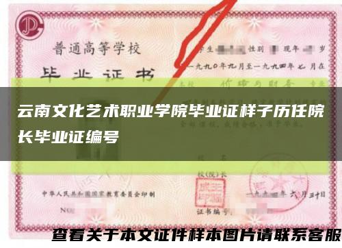 云南文化艺术职业学院毕业证样子历任院长毕业证编号缩略图