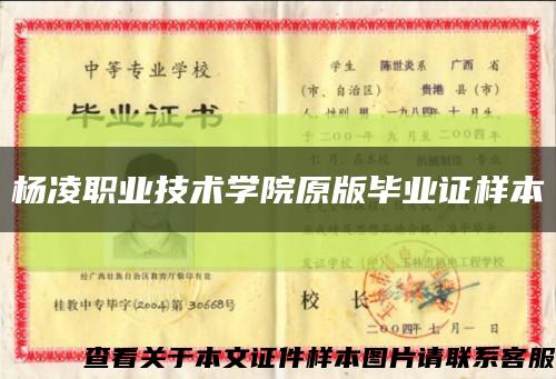 杨凌职业技术学院原版毕业证样本缩略图