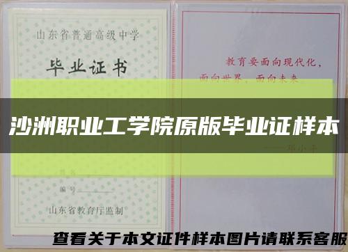 沙洲职业工学院原版毕业证样本缩略图