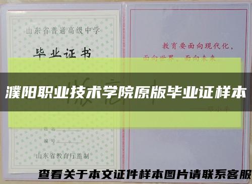 濮阳职业技术学院原版毕业证样本缩略图
