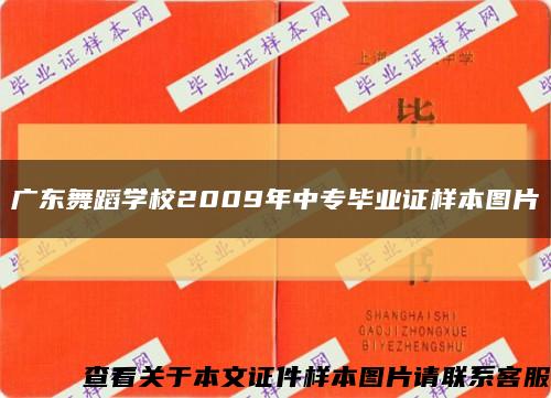 广东舞蹈学校2009年中专毕业证样本图片缩略图