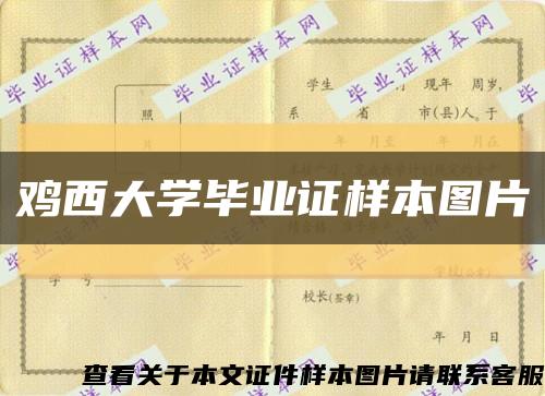 鸡西大学毕业证样本图片缩略图