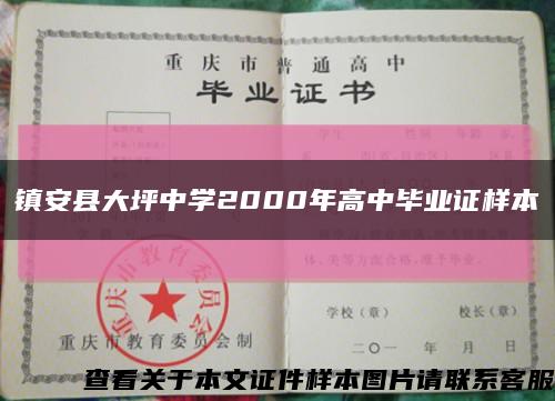 镇安县大坪中学2000年高中毕业证样本缩略图