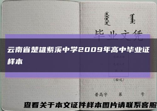 云南省楚雄紫溪中学2009年高中毕业证样本缩略图