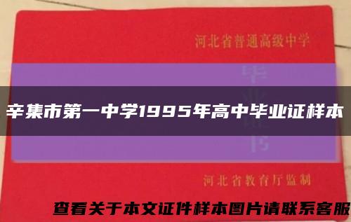 辛集市第一中学1995年高中毕业证样本缩略图