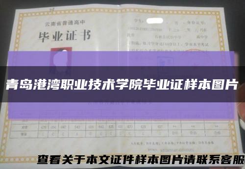 青岛港湾职业技术学院毕业证样本图片缩略图