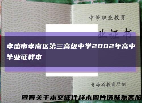 孝感市孝南区第三高级中学2002年高中毕业证样本缩略图