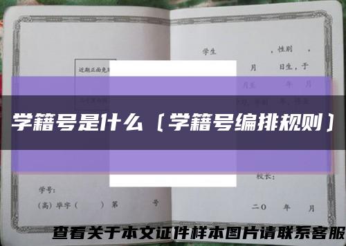 学籍号是什么〔学籍号编排规则〕缩略图