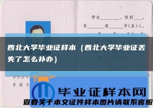 西北大学毕业证样本（西北大学毕业证丢失了怎么补办）缩略图