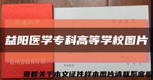 益阳医学专科高等学校图片缩略图