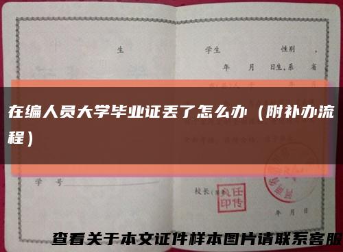 在编人员大学毕业证丢了怎么办（附补办流程）缩略图