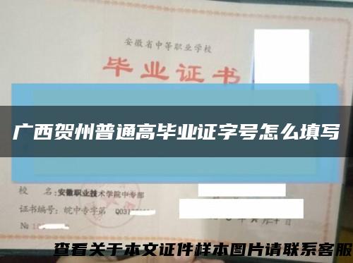 广西贺州普通高毕业证字号怎么填写缩略图