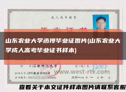 山东农业大学函授毕业证图片(山东农业大学成人高考毕业证书样本)缩略图