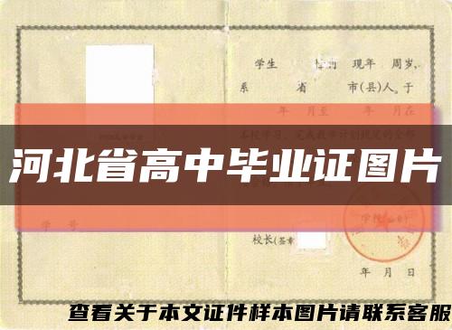 河北省高中毕业证图片缩略图