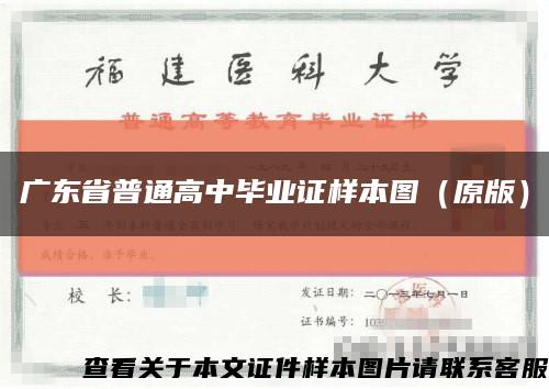 广东省普通高中毕业证样本图（原版）缩略图