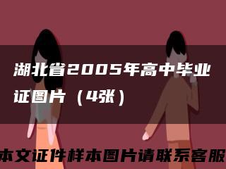 湖北省2005年高中毕业证图片（4张）缩略图