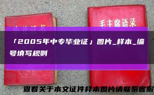 「2005年中专毕业证」图片_样本_编号填写规则缩略图