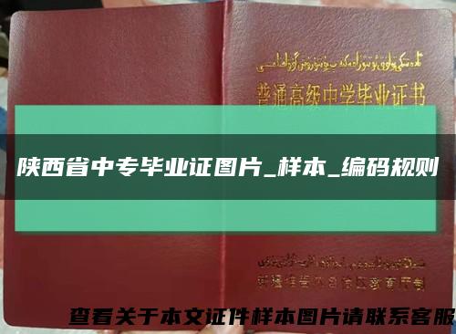 陕西省中专毕业证图片_样本_编码规则缩略图