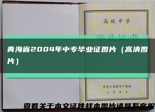 青海省2004年中专毕业证图片（高清图片）缩略图