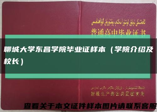 聊城大学东昌学院毕业证样本（学院介绍及校长）缩略图