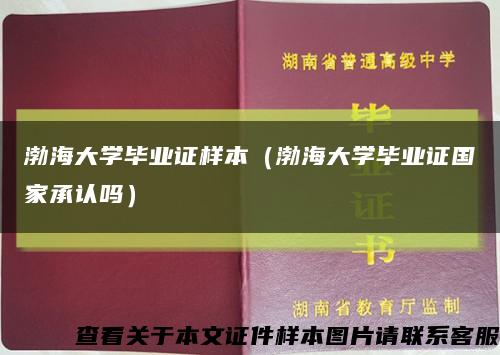 渤海大学毕业证样本（渤海大学毕业证国家承认吗）缩略图