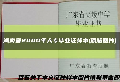 湖南省2000年大专毕业证样本(原版图片)缩略图