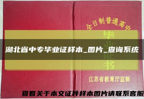 湖北省中专毕业证样本_图片_查询系统缩略图