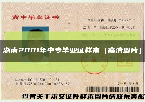 湖南2001年中专毕业证样本（高清图片）缩略图