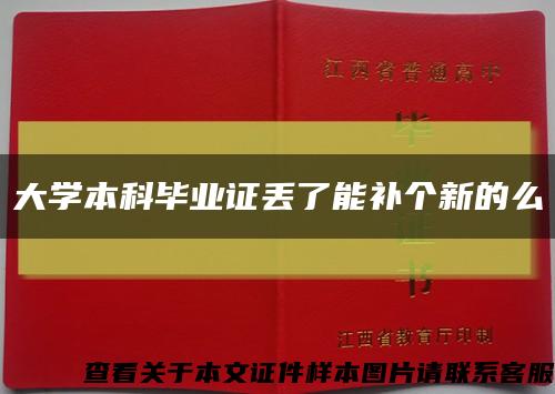 大学本科毕业证丢了能补个新的么缩略图