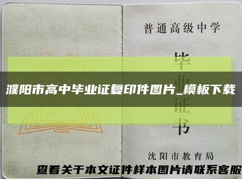 濮阳市高中毕业证复印件图片_模板下载缩略图
