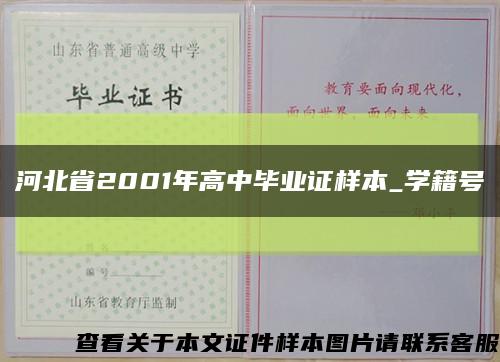 河北省2001年高中毕业证样本_学籍号缩略图