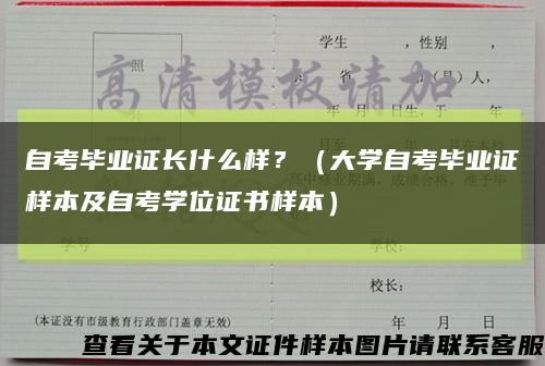 自考毕业证长什么样？（大学自考毕业证样本及自考学位证书样本）缩略图