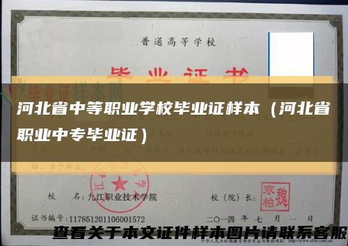 河北省中等职业学校毕业证样本（河北省职业中专毕业证）缩略图