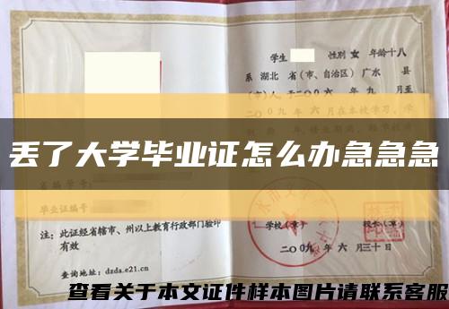 丢了大学毕业证怎么办急急急缩略图