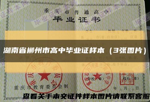 湖南省郴州市高中毕业证样本（3张图片）缩略图