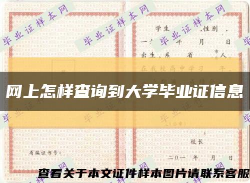 网上怎样查询到大学毕业证信息缩略图