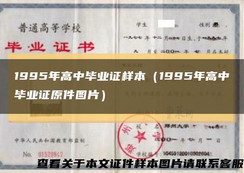 1995年高中毕业证样本（1995年高中毕业证原件图片）缩略图